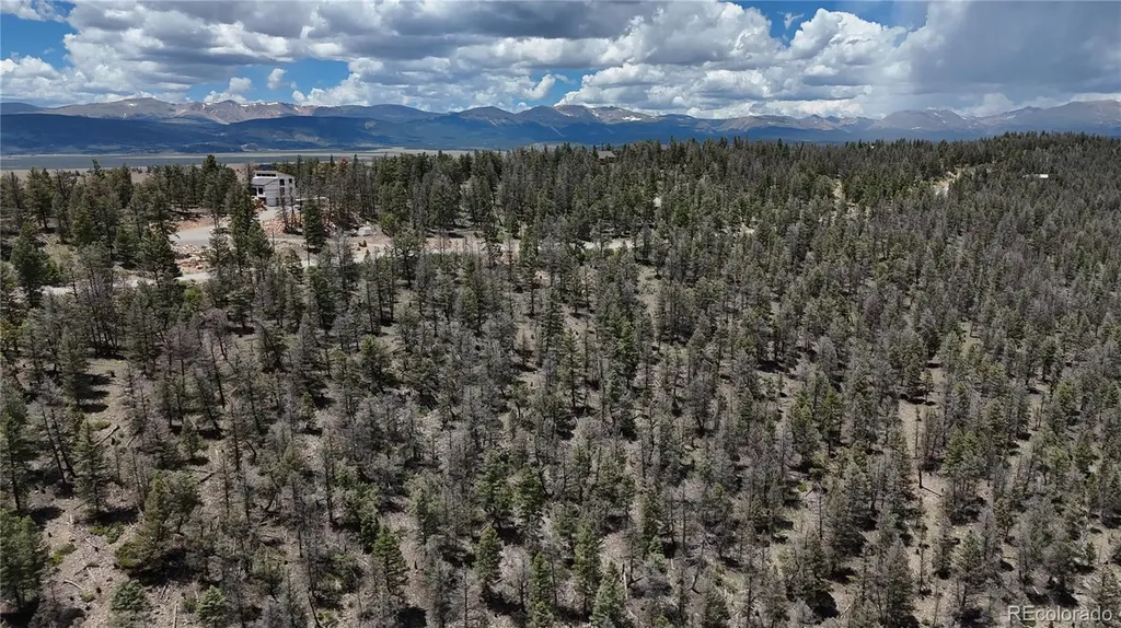 1348 Middle Fork Vista Fairplay CO 80440