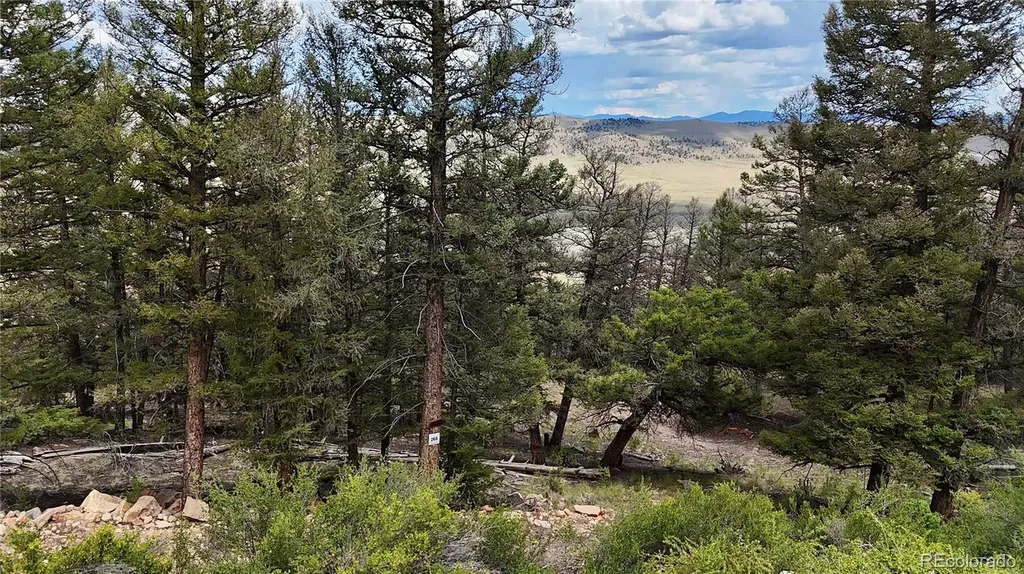 1348 Middle Fork Vista Fairplay CO 80440