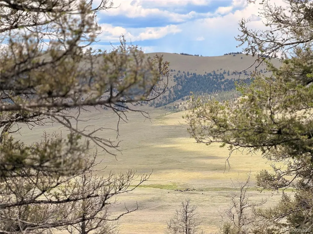 1348 Middle Fork Vista Fairplay CO 80440