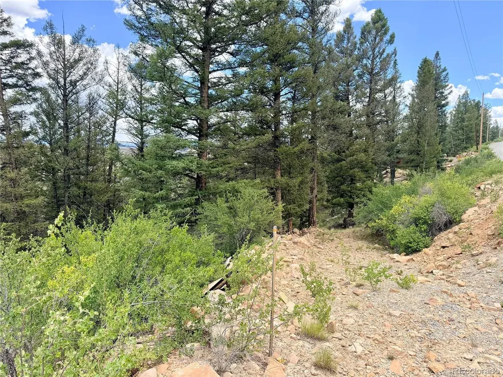 1348 Middle Fork Vista Fairplay CO 80440