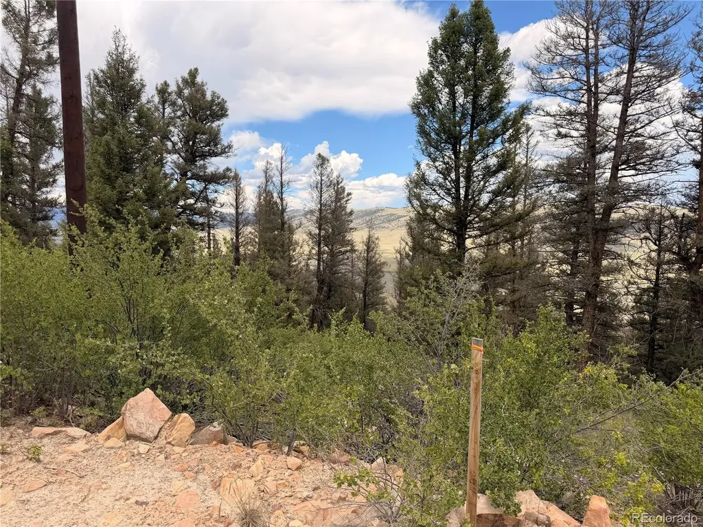 1348 Middle Fork Vista Fairplay CO 80440