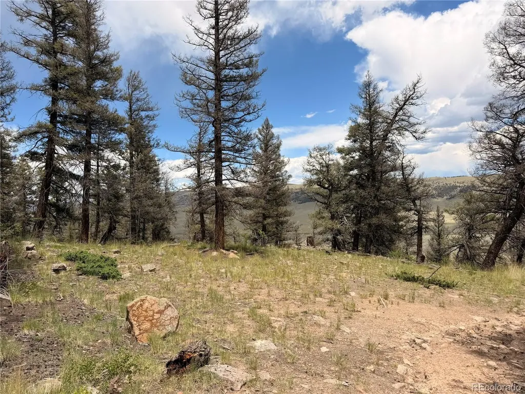 1348 Middle Fork Vista Fairplay CO 80440