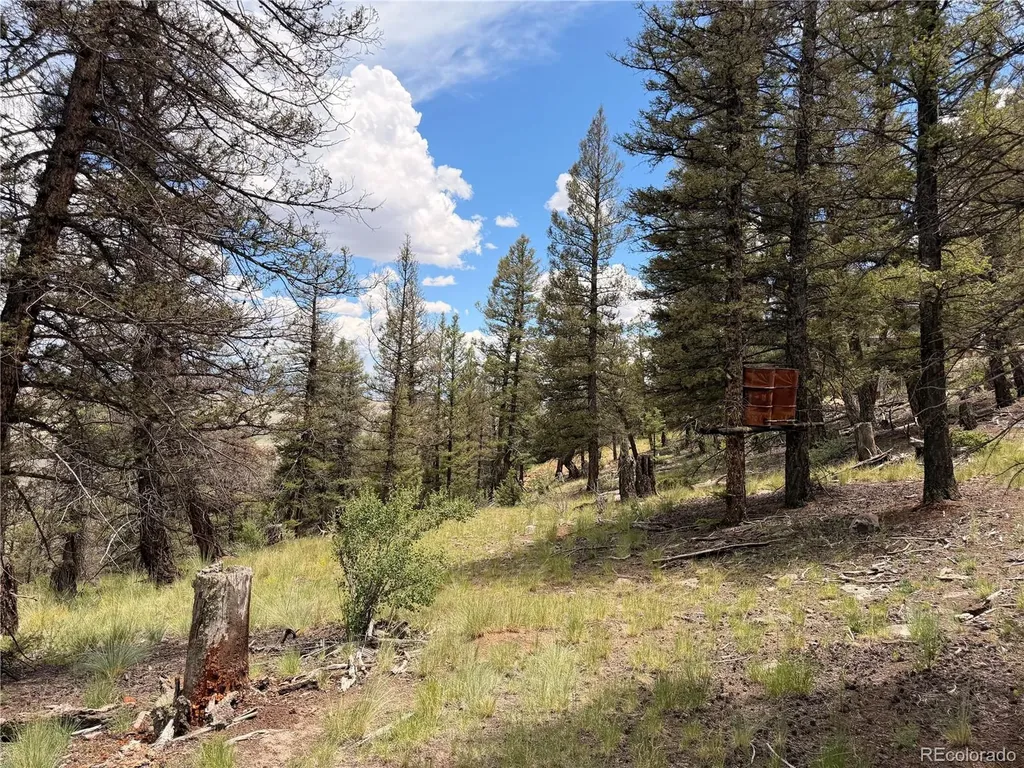 1348 Middle Fork Vista Fairplay CO 80440