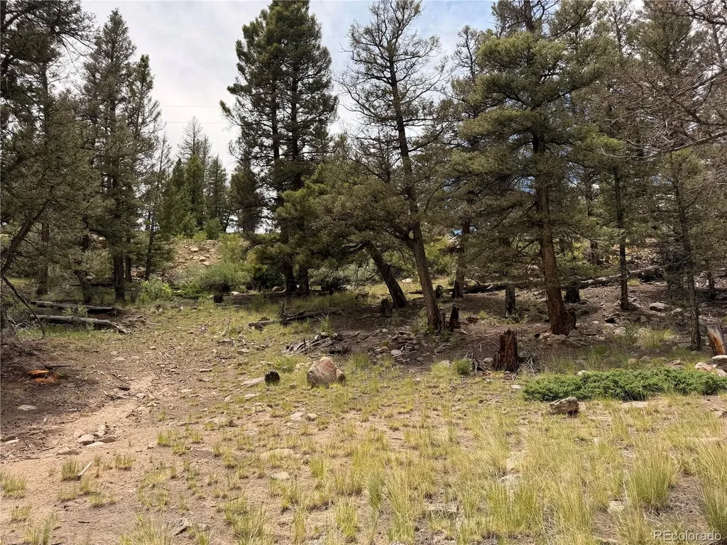 1348 Middle Fork Vista Fairplay CO 80440