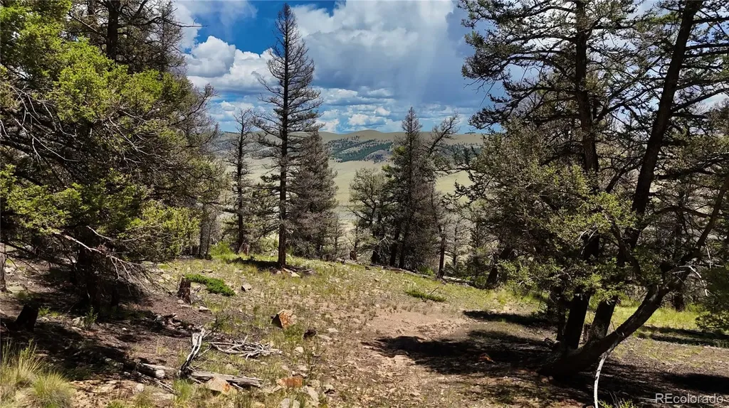 1348 Middle Fork Vista Fairplay CO 80440