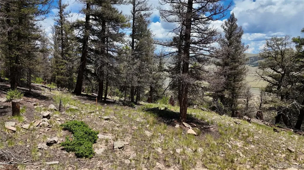 1348 Middle Fork Vista Fairplay CO 80440
