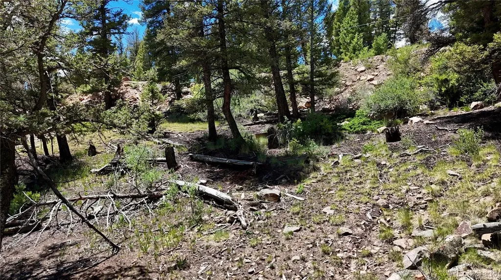 1348 Middle Fork Vista Fairplay CO 80440
