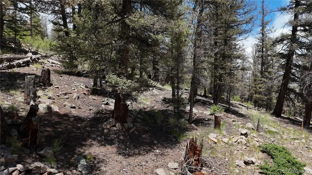 1348 Middle Fork Vista Fairplay CO 80440