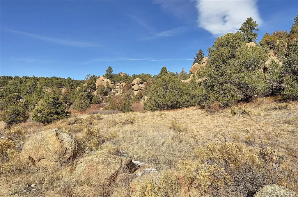 31950 Forest Service Road 376 Buena Vista CO 81211