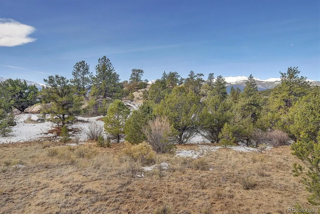 31950 Forest Service Road 376 Buena Vista CO 81211