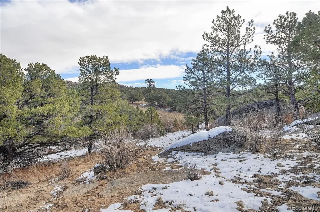 31950 Forest Service Road 376 Buena Vista CO 81211