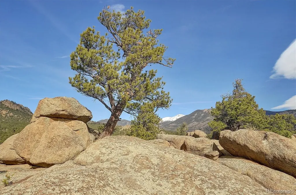 31950 Forest Service Road 376 Buena Vista CO 81211