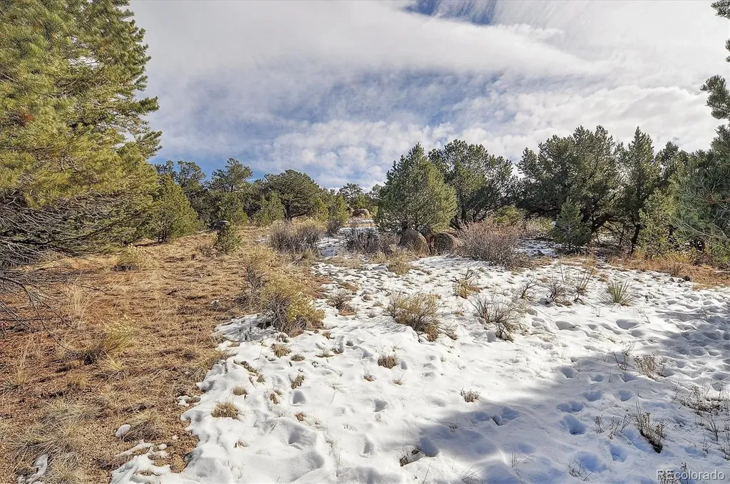 31950 Forest Service Road 376 Buena Vista CO 81211