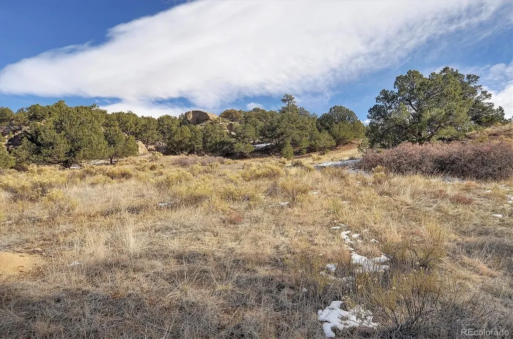 31950 Forest Service Road 376 Buena Vista CO 81211