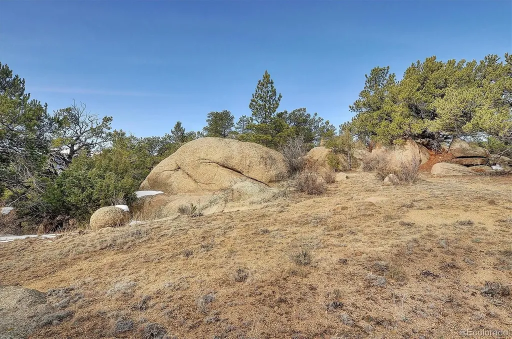 31950 Forest Service Road 376 Buena Vista CO 81211