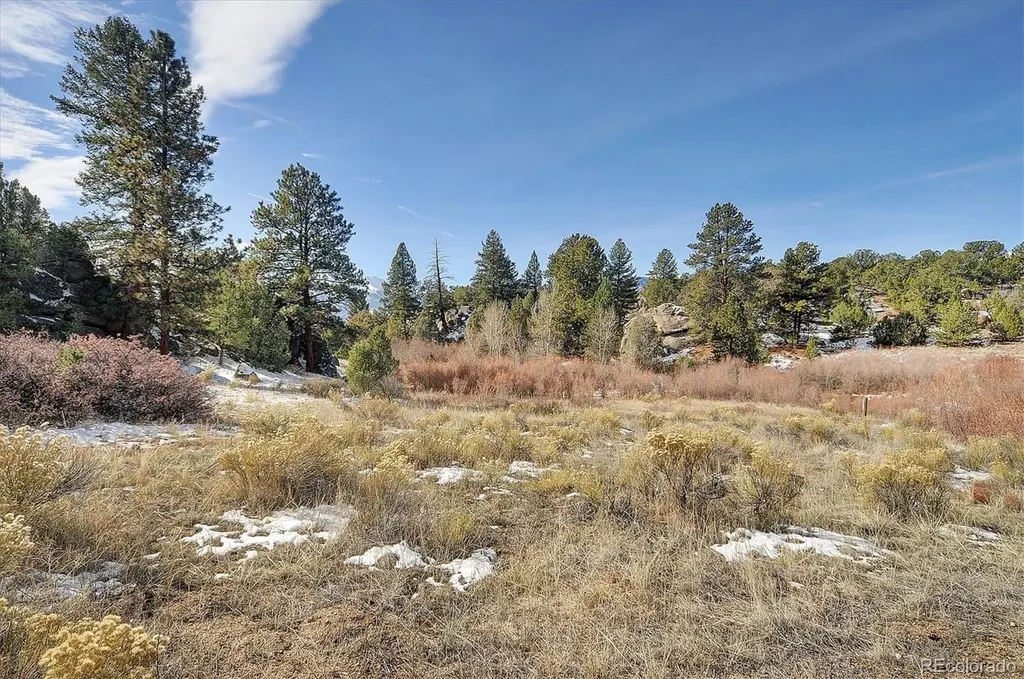 31950 Forest Service Road 376 Buena Vista CO 81211