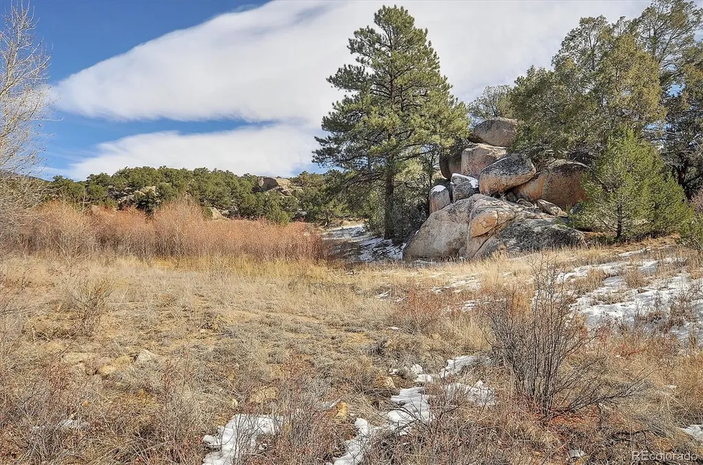 31950 Forest Service Road 376 Buena Vista CO 81211