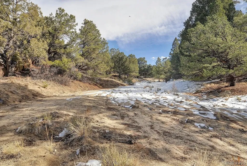 31950 Forest Service Road 376 Buena Vista CO 81211