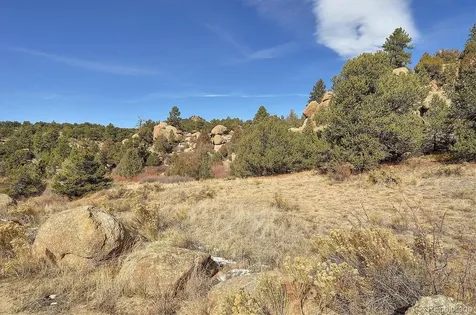 31950 Forest Service Road 376 Buena Vista CO 81211