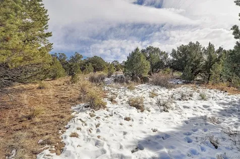 31950 Forest Service Road 376 Buena Vista CO 81211