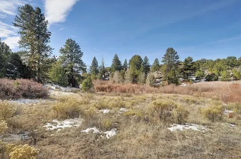 31950 Forest Service Road 376 Buena Vista CO 81211