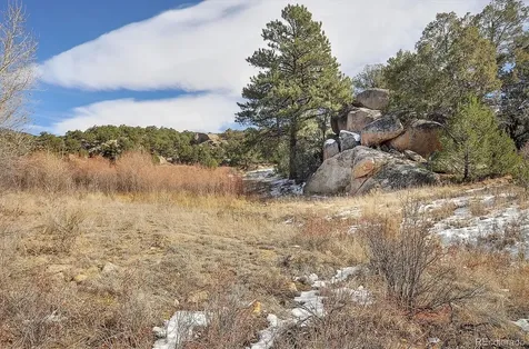 31950 Forest Service Road 376 Buena Vista CO 81211