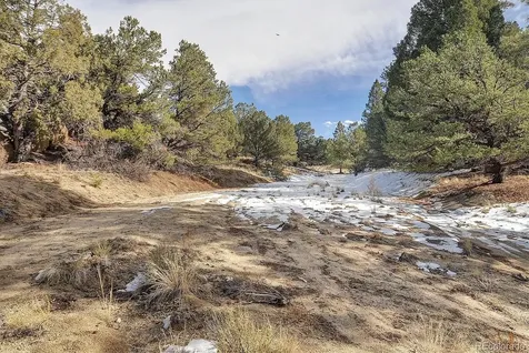 31950 Forest Service Road 376 Buena Vista CO 81211