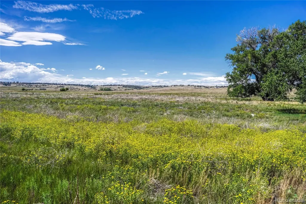 Fiddleback Ranch Road Kiowa CO 80117