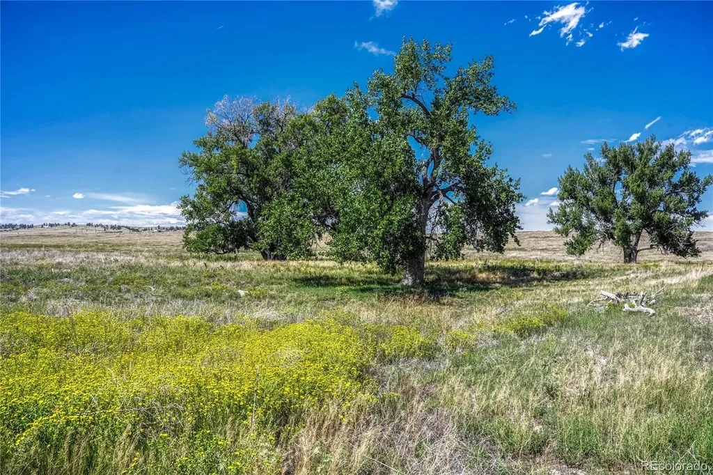 Fiddleback Ranch Road Kiowa CO 80117