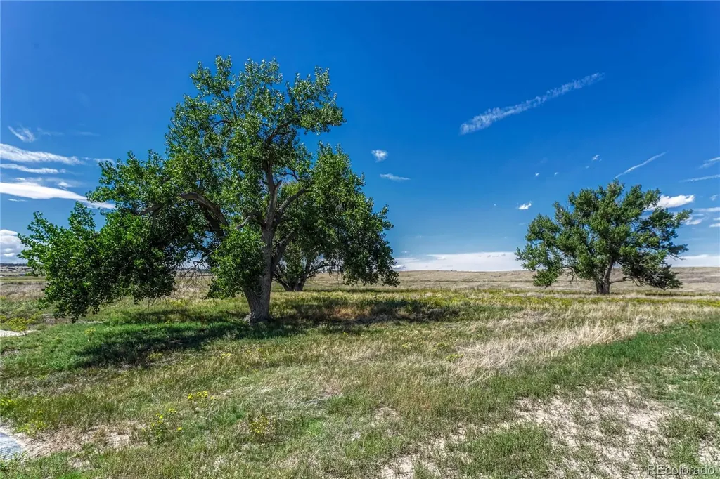 Fiddleback Ranch Road Kiowa CO 80117