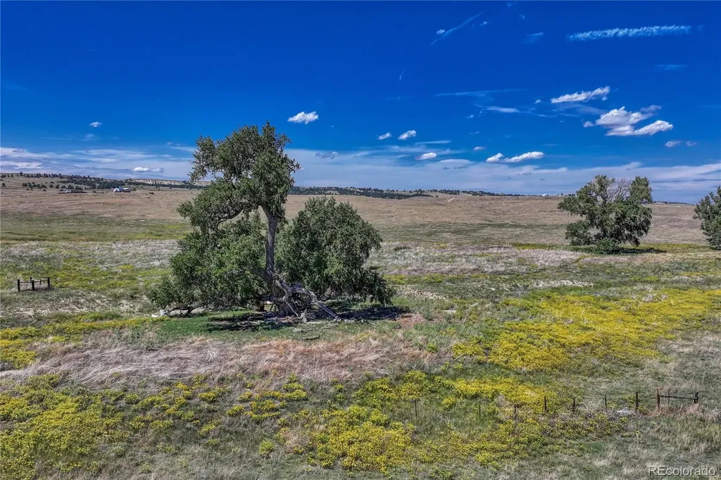 Fiddleback Ranch Road Kiowa CO 80117
