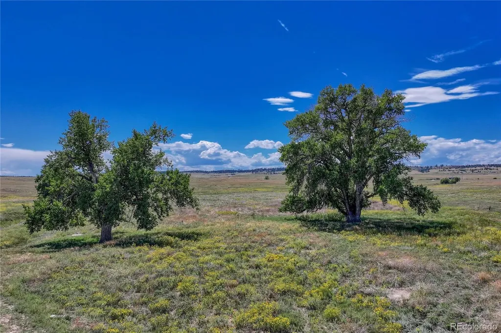 Fiddleback Ranch Road Kiowa CO 80117