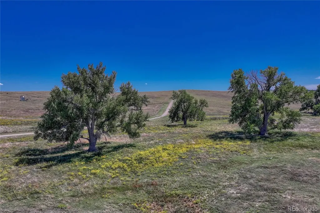 Fiddleback Ranch Road Kiowa CO 80117