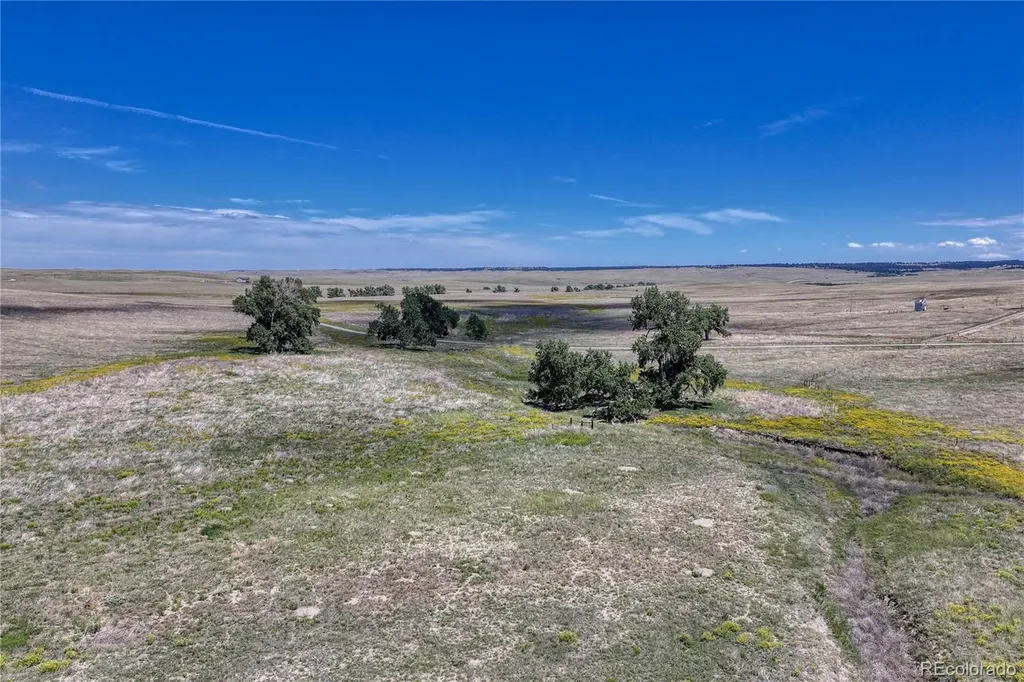 Fiddleback Ranch Road Kiowa CO 80117