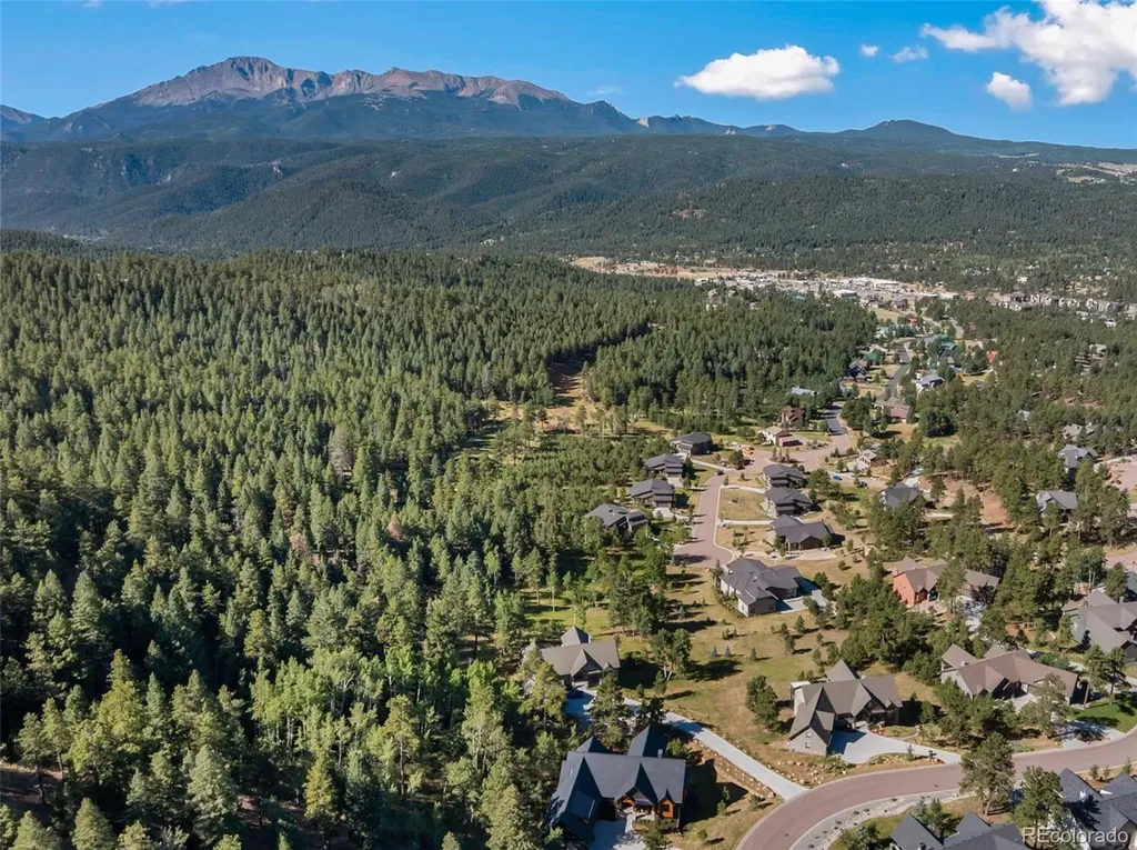 1005 Locklin Way Woodland Park CO 80863