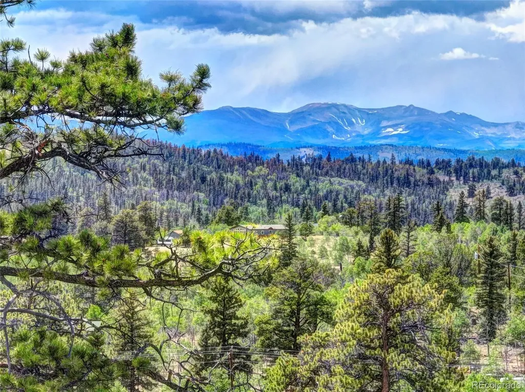 53 Fawn Court Como CO 80432