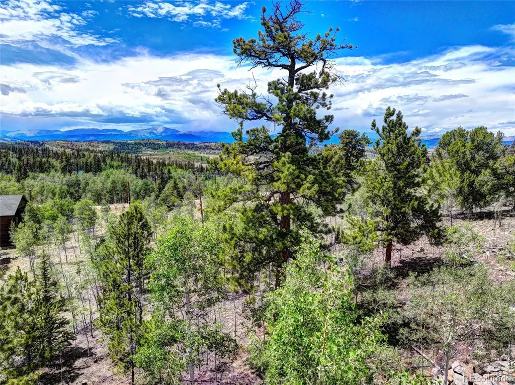 53 Fawn Court Como CO 80432