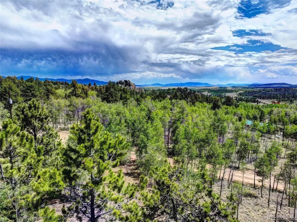 53 Fawn Court Como CO 80432