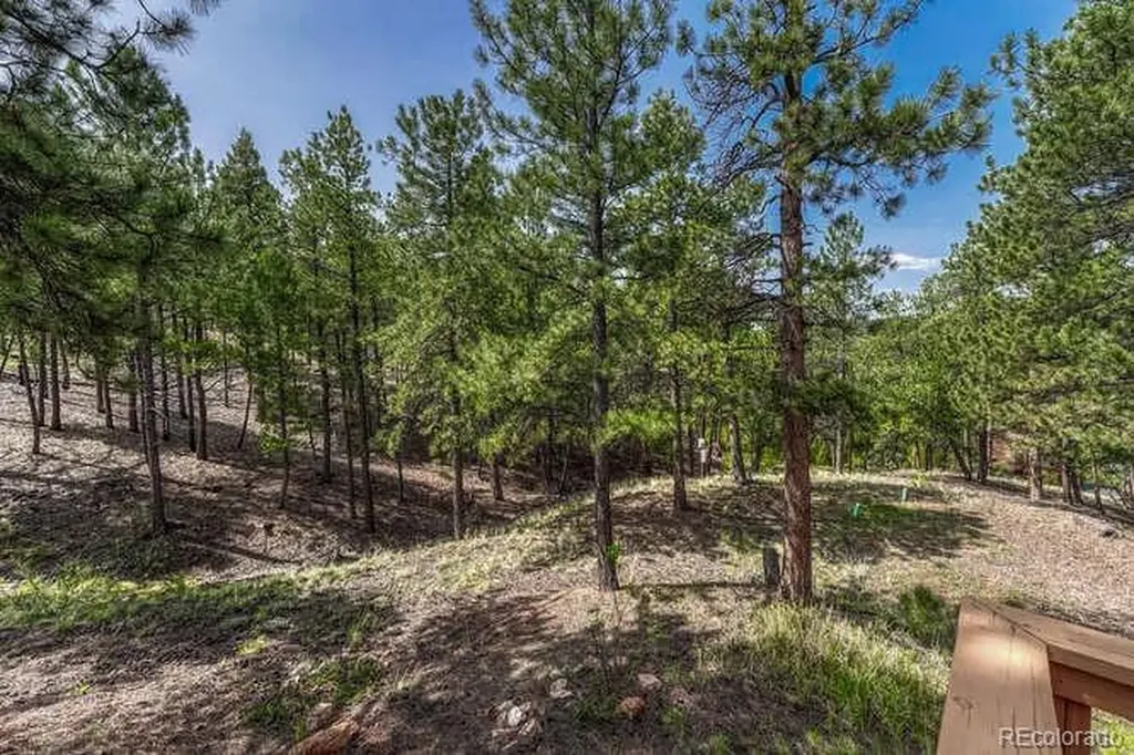 14694 Crooked Trail Road Woodland Park CO 80863