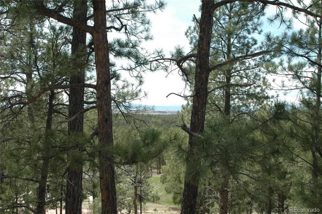 856 Woodridge Road Franktown CO 80116