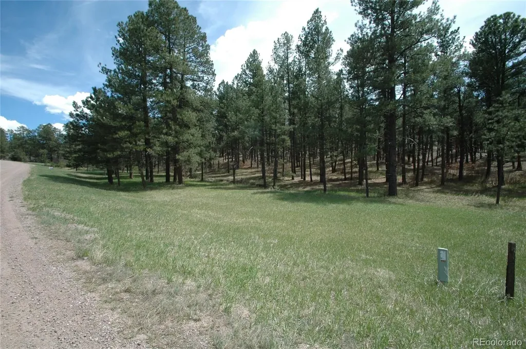 856 Woodridge Road Franktown CO 80116