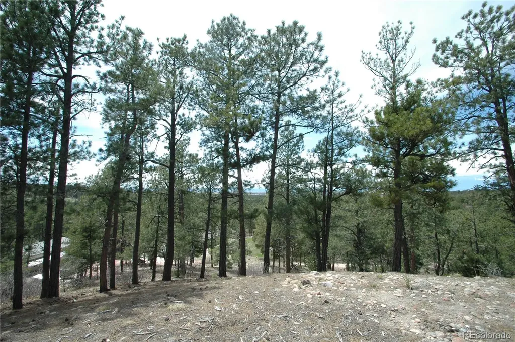 856 Woodridge Road Franktown CO 80116