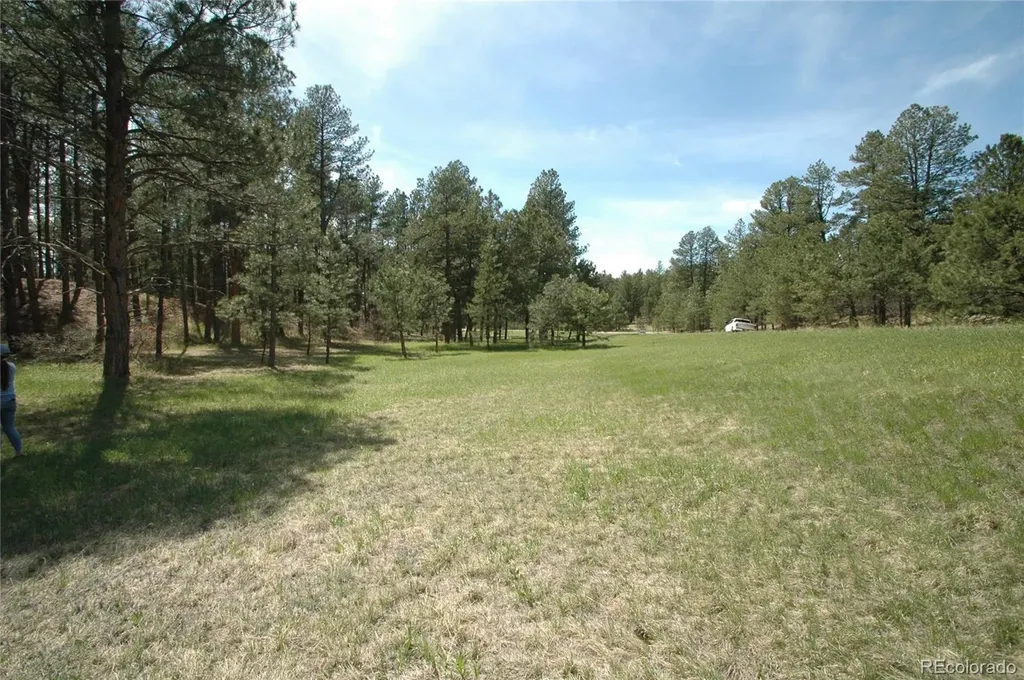 856 Woodridge Road Franktown CO 80116