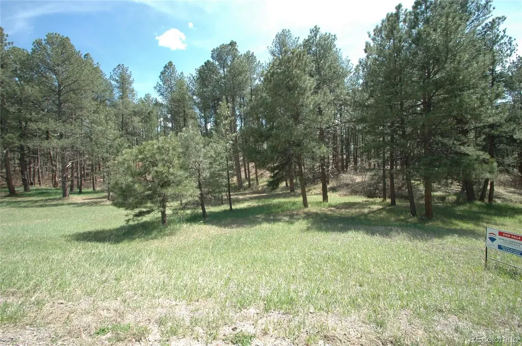 856 Woodridge Road Franktown CO 80116
