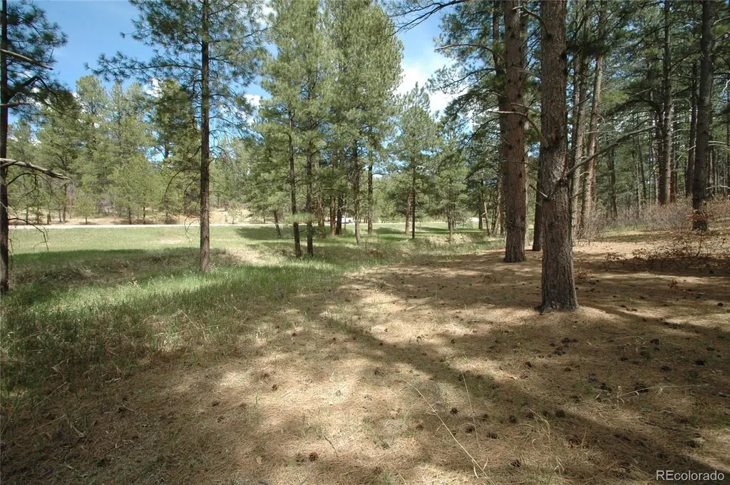 856 Woodridge Road Franktown CO 80116
