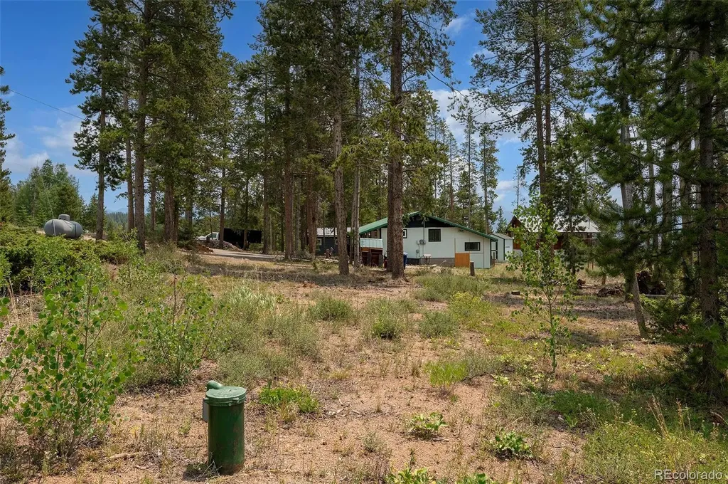 202 Colorado / 874 Drive Tabernash CO 80478