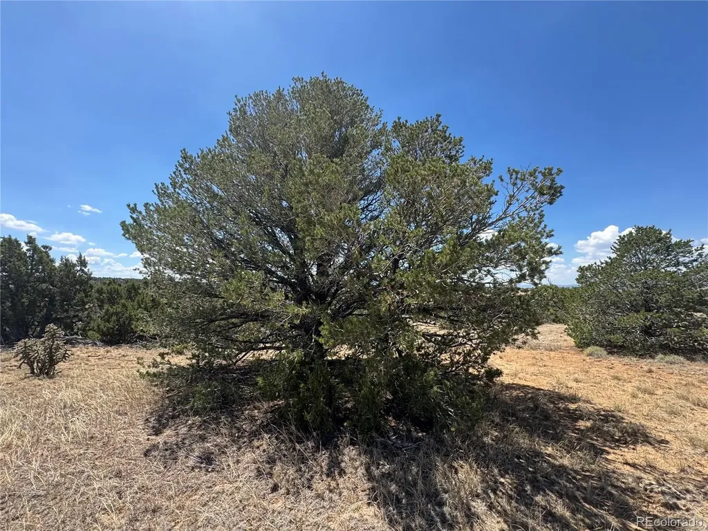 Lot F Twin Lakes Ranches Walsenburg CO 81089