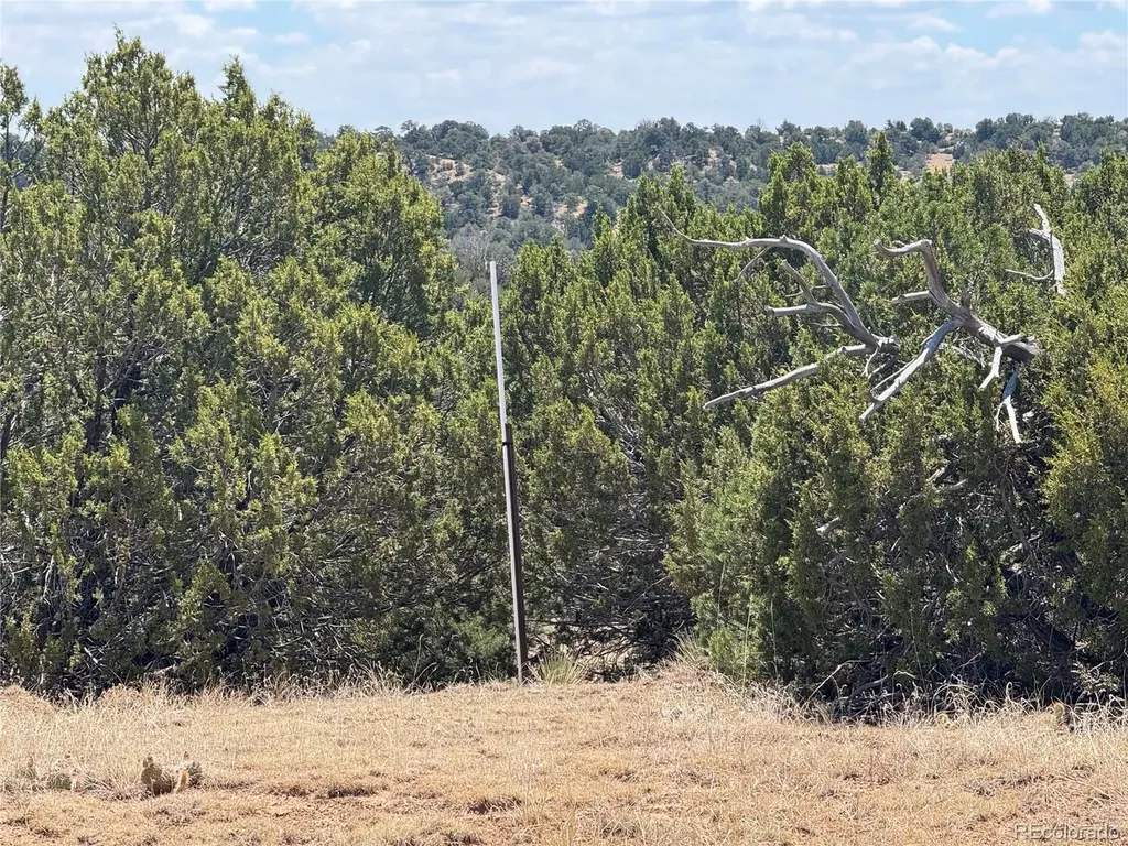 Lot F Twin Lakes Ranches Walsenburg CO 81089