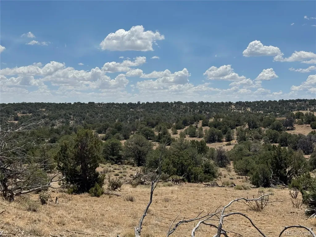 Lot F Twin Lakes Ranches Walsenburg CO 81089