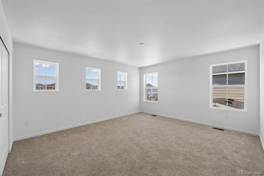 6413 Ankina Drive Windsor CO 80528
